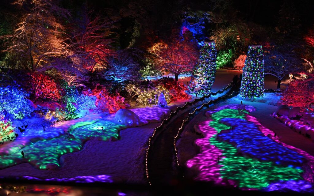 an aerial shot of butchart gardens around christmas shows the attractions fabulous light display.
