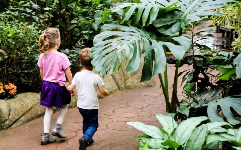 a pair of children partake in the victoria butterfly gardens scavenger hunt