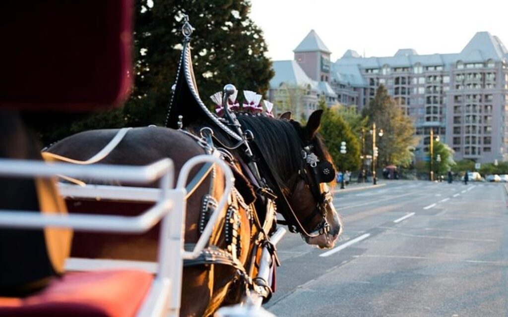 victoria-horse-drawn-carriage