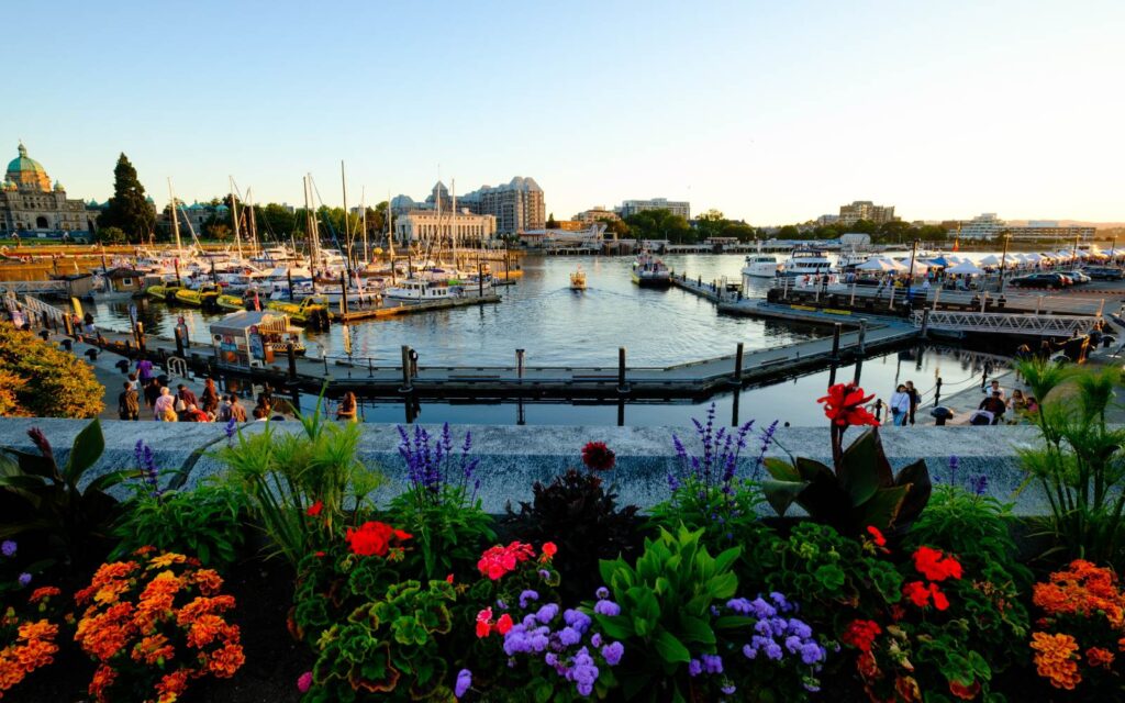 a view of the inner harbour, one of our top free things to do in victoria, bc.