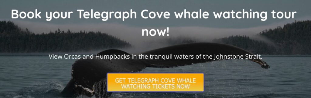 a banner for Telegraph Cove whale watching tours.