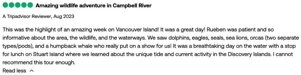 A review of a full-day Campbell River whale watching tour.