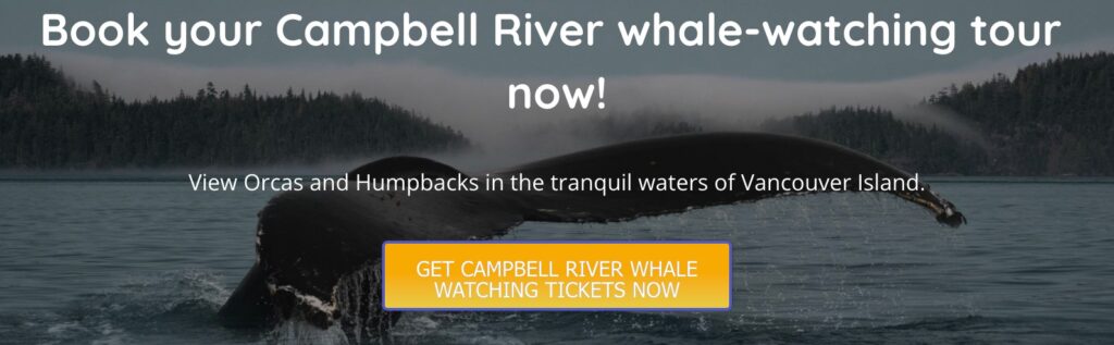 a banner for an article on Campbell River whale watching.