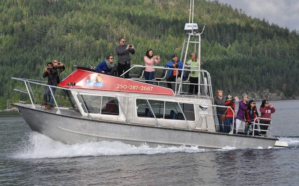 whale watching tours campbell river