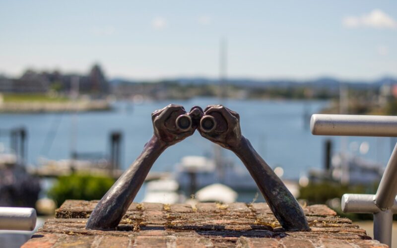 A view of a set of binoculars in the Inner Harbour in Victoria in August.